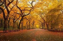 体育赛事直播实时数据展示了解深