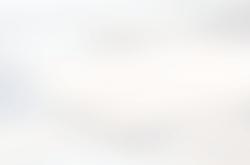 操作过于下饭，结局何其荒诞