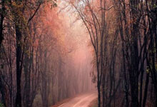 “眼神(shén)防守”名场面如(rú)何鍊(liàn)成？