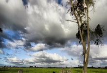 赛事人員(yuán)及观衆(zhòng)遊(yóu)仙湖有(yǒu)優(yōu)惠 憑(píng)赛事門(mén)票可购买5元入(rù)园門(mén)票