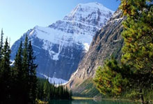 澳网亚太区外卡赛掀起退赛潮