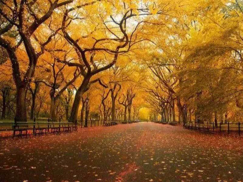 体育赛事直播实时数据展示了解深