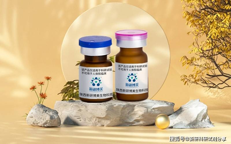 Perfect 100bp DNA Ladder适合用于琼脂糖凝胶分析