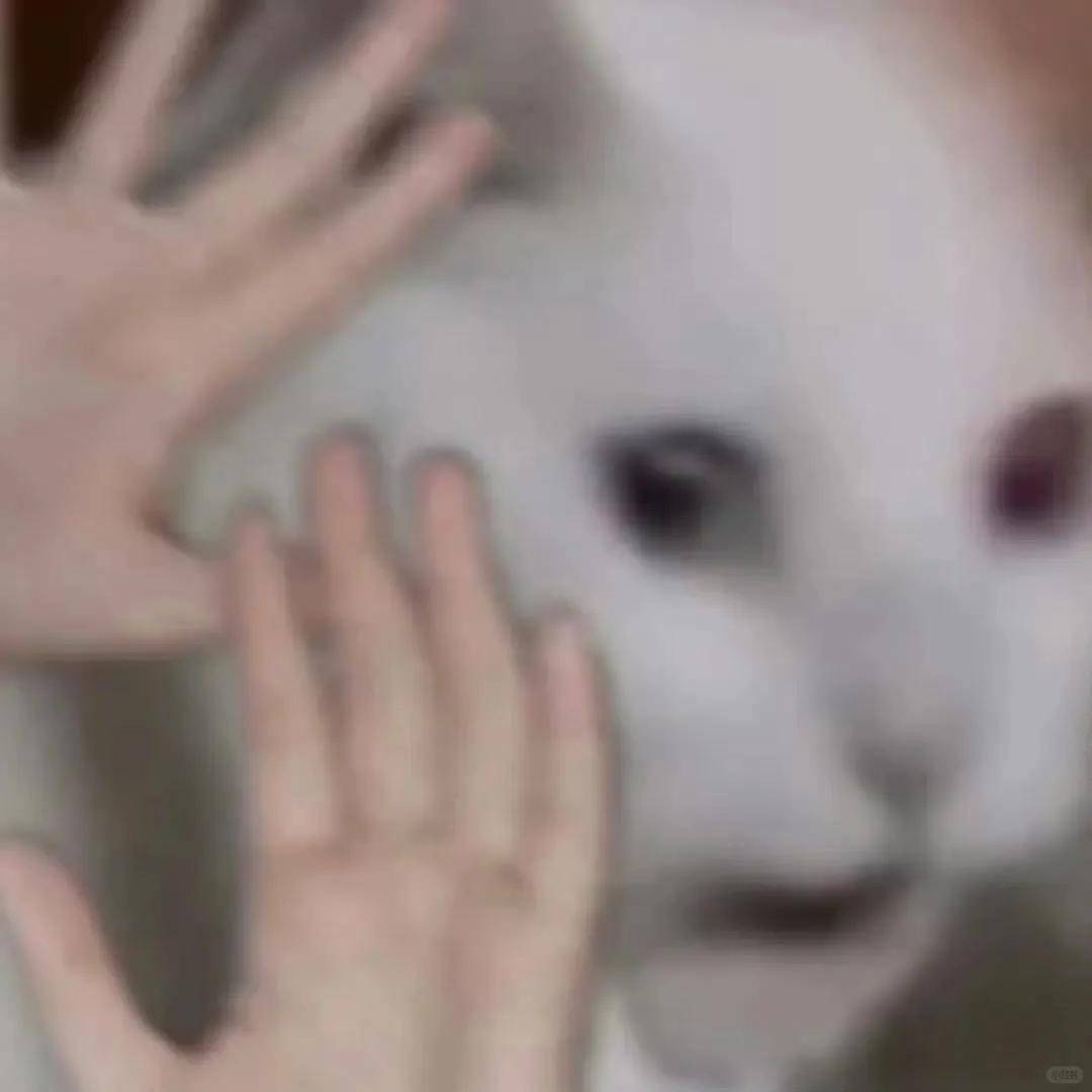 传闻新的LOL名人堂皮肤为Uzi卡莎；《影之刃 零》制作人被聘为客座教授