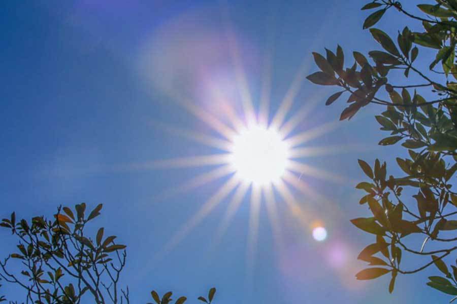 车辆模型比赛成为全运会新增热门群众项目